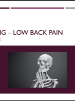 Myth Busters - Low Back Pain